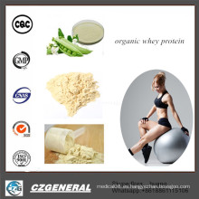 Gold Standard Organic Wholesale Supplement Supplement Whey Protein Powder